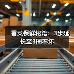 香菜保鲜秘籍：3步延长至3周不坏（图2）