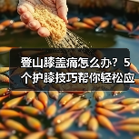 登山膝盖痛怎么办?5个护膝技巧帮你轻松应对(图3) 登山膝盖痛怎么办?5个护膝技巧帮你轻松应对(图3)
