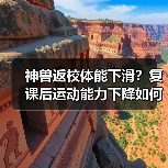 神兽返校体能下滑?复课后运动能力下降如何应对?(图1) 神兽返校体能下滑?复课后运动能力下降如何应对?(图1)