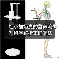 红茶加奶真的营养流失？科学解析正确喝法