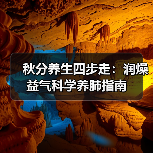 秋分养生四步走：润燥益气科学养肺指南