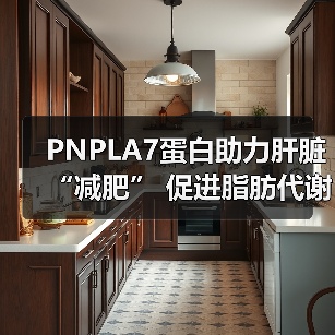 PNPLA7蛋白助力肝脏“减肥” 促进脂肪代谢减少脂肪肝