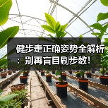 健步走正确姿势全解析:别再盲目刷步数!(图3) 健步走正确姿势全解析:别再盲目刷步数!(图3)