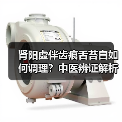 肾阳虚伴齿痕舌苔白如何调理?中医辨证解析与科学方案(图1) 肾阳虚伴齿痕舌苔白如何调理?中医辨证解析与科学方案(图1)
