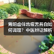 肾阳虚伴齿痕舌苔白如何调理?中医辨证解析与科学方案(图3) 肾阳虚伴齿痕舌苔白如何调理?中医辨证解析与科学方案(图3)