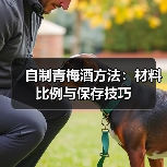 自制青梅酒方法:材料比例与保存技巧(图3) 自制青梅酒方法:材料比例与保存技巧(图3)