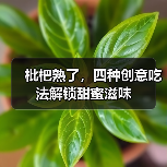 枇杷熟了,四种创意吃法解锁甜蜜滋味(图2) 枇杷熟了,四种创意吃法解锁甜蜜滋味(图2)