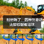 枇杷熟了,四种创意吃法解锁甜蜜滋味(图3) 枇杷熟了,四种创意吃法解锁甜蜜滋味(图3)