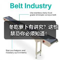 冬吃萝卜有讲究?这些禁忌你必须知道!(图3) 冬吃萝卜有讲究?这些禁忌你必须知道!(图3)