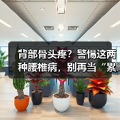 背部骨头疼?警惕这两种腰椎病,别再当“累着了(图2) 背部骨头疼?警惕这两种腰椎病,别再当“累着了(图2)