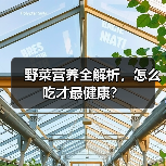 野菜营养全解析,怎么吃才最健康?(图3) 野菜营养全解析,怎么吃才最健康?(图3)
