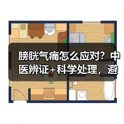 膀胱气痛怎么应对?中医辨证+科学处理,避免急症风险(图3) 膀胱气痛怎么应对?中医辨证+科学处理,避免急症风险(图3)
