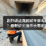 剧烈运动真能延年益寿?最新研究揭示长寿密码(图4) 剧烈运动真能延年益寿?最新研究揭示长寿密码(图4)