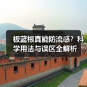 板蓝根真能防流感?科学用法与误区全解析(图1) 板蓝根真能防流感?科学用法与误区全解析(图1)