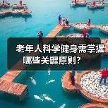 老年人科学健身需掌握哪些关键原则?(图4) 老年人科学健身需掌握哪些关键原则?(图4)