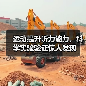 运动提升听力能力,科学实验验证惊人发现(图2) 运动提升听力能力,科学实验验证惊人发现(图2)