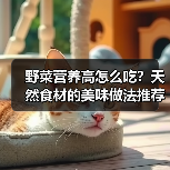 野菜营养高怎么吃?天然食材的美味做法推荐(图4) 野菜营养高怎么吃?天然食材的美味做法推荐(图4)