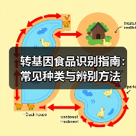 转基因食品识别指南:常见种类与辨别方法(图2) 转基因食品识别指南:常见种类与辨别方法(图2)