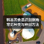 转基因食品识别指南:常见种类与辨别方法(图3) 转基因食品识别指南:常见种类与辨别方法(图3)
