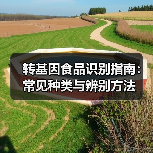 转基因食品识别指南:常见种类与辨别方法(图4) 转基因食品识别指南:常见种类与辨别方法(图4)