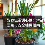 酸枣仁汤调心悸：辨证要点与安全使用指南（图4）