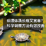 痰湿体质长痘又宫寒？科学调理方法有效改善（图1）