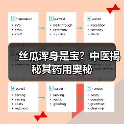 丝瓜浑身是宝？中医揭秘其药用奥秘（图2）