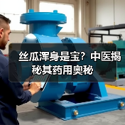 丝瓜浑身是宝？中医揭秘其药用奥秘（图3）
