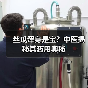 丝瓜浑身是宝？中医揭秘其药用奥秘（图4）
