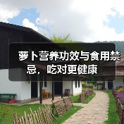 萝卜营养功效与食用禁忌，吃对更健康（图4）