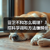 营卫不和怎么调理？3招科学调和方法缓解低热自汗（图4）