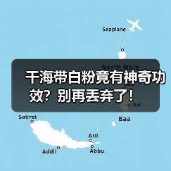 干海带白粉竟有神奇功效？别再丢弃了！（图2）