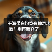 干海带白粉竟有神奇功效？别再丢弃了！