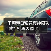 干海带白粉竟有神奇功效？别再丢弃了！（图3）