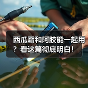 西瓜霜和阿胶能一起用？看这篇彻底明白！（图3）