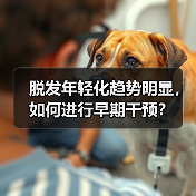 脱发年轻化趋势明显，如何进行早期干预？