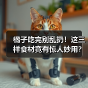 橘子吃完别乱扔！这三样食材竟有惊人妙用？（图2）