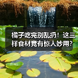 橘子吃完别乱扔！这三样食材竟有惊人妙用？（图3）