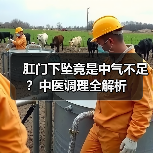 肛门下坠竟是中气不足？中医调理全解析（图3）