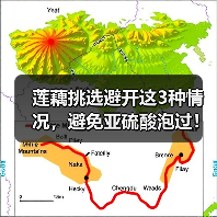 莲藕挑选避开这3种情况，避免亚硫酸泡过！（图2）