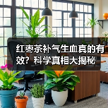 红枣茶补气生血真的有效？科学真相大揭秘（图2）
