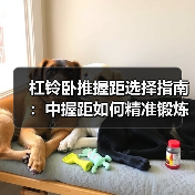 杠铃卧推握距选择指南：中握距如何精准锻炼胸大肌？（图1）