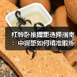 杠铃卧推握距选择指南：中握距如何精准锻炼胸大肌？（图2）