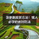 菠萝剥皮新方法！懒人必学的省时吃法（图2）