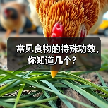 常见食物的特殊功效，你知道几个？（图4）