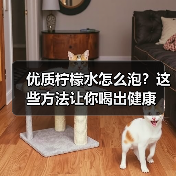 优质柠檬水怎么泡？这些方法让你喝出健康（图2）