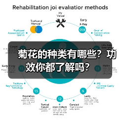 菊花的种类有哪些？功效你都了解吗？（图2）