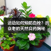 运动如何预防血栓？抗衰老的天然良药揭秘（图3）