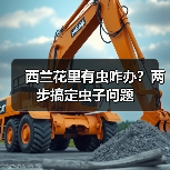 西兰花里有虫咋办？两步搞定虫子问题