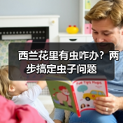 西兰花里有虫咋办？两步搞定虫子问题（图4）
